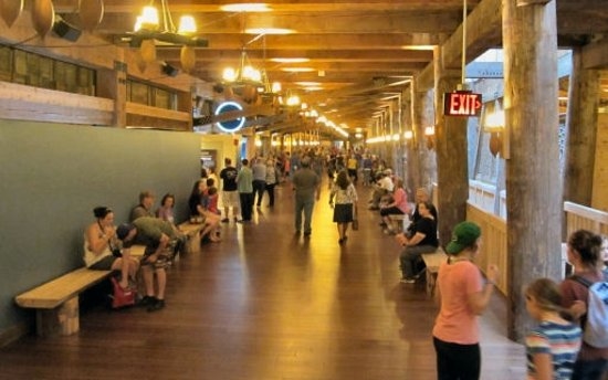 Noah's Ark at Kentucky USA- Old news but still interesting