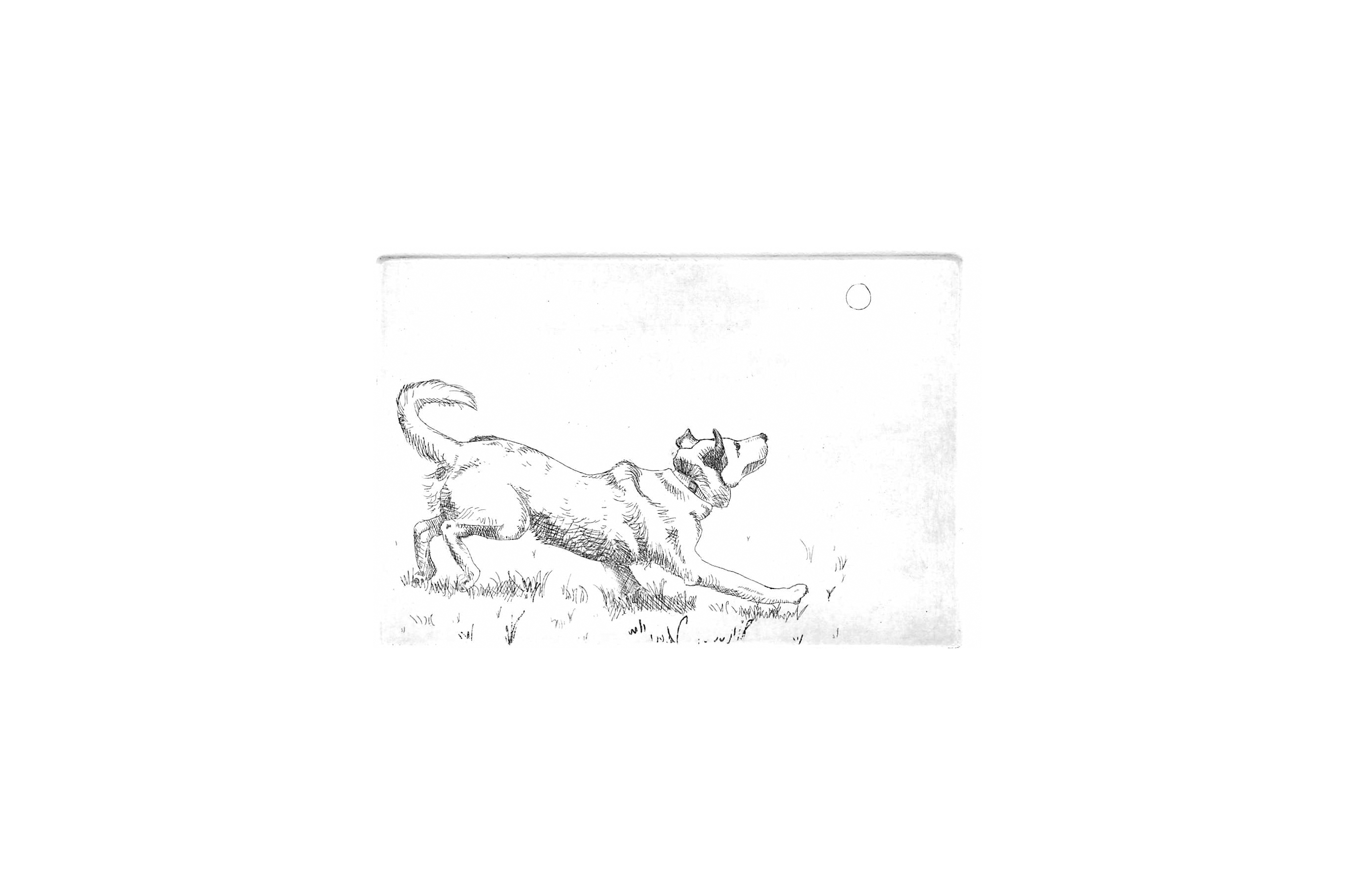 dogdrawing.png